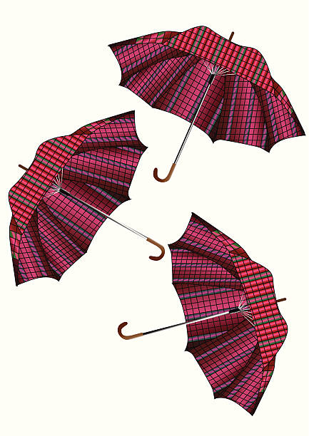 Umbrella vector art illustration