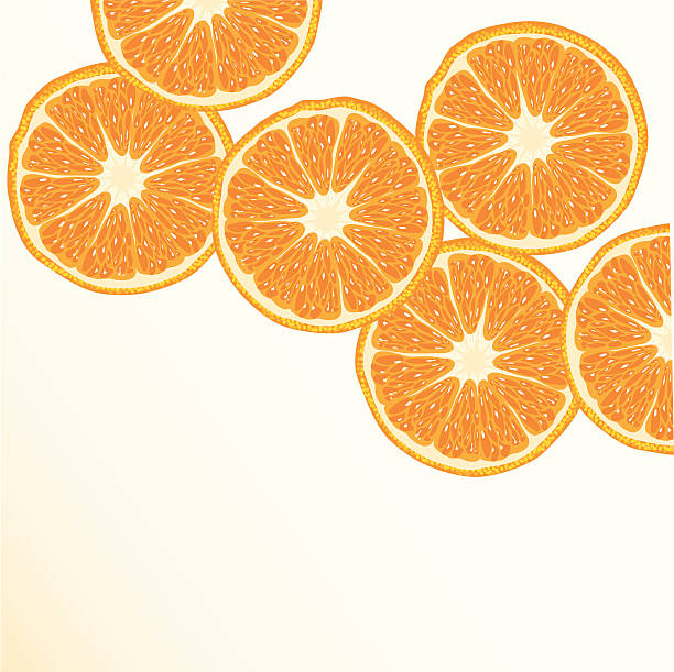 orange vector art illustration