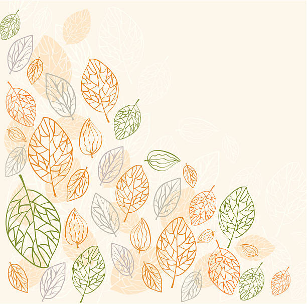 Fond avec des feuilles - Illustration vectorielle