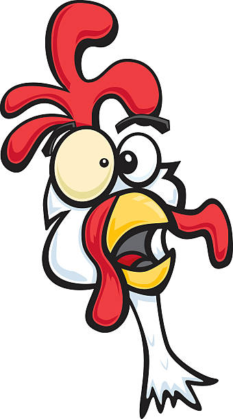 A cartoon chicken head on a white background This chicken is either ready to be sick or has smelled something a little off color. crazy chicken stock illustrations