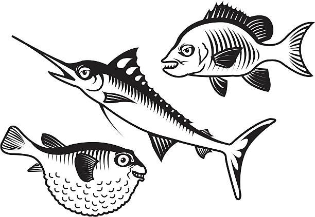 Fishy Fishes 2 vector art illustration