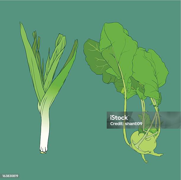 Gemüse - Immagini vettoriali stock e altre immagini di Agricoltura - Agricoltura, Alimentazione sana, Alliacee