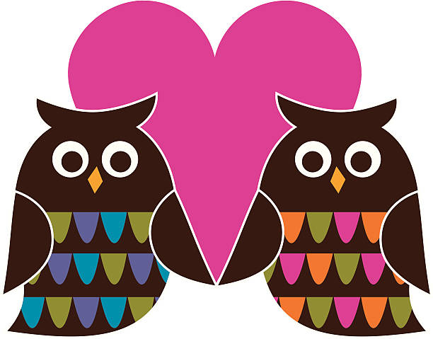 Retro Valentine Owls vector art illustration