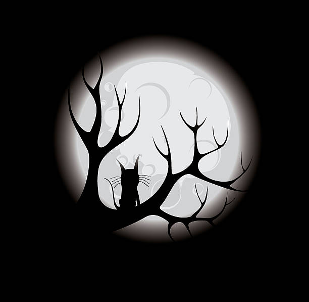 mooncat vector art illustration