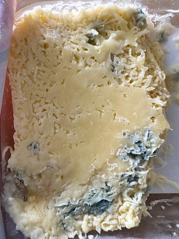 Stock photo showing mouldy dairy product with furry white and blue mould growing on surface of food. Spoiled cheese can produce harmful bacteria, such as brucella, E. coli, listeria,  and salmonella. Food poisoning concept.