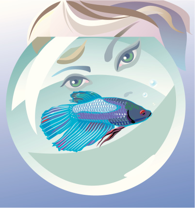 Hello Fish Animation Hello Fish Stock Illustration - Download Image Now - Adult, Animal ...