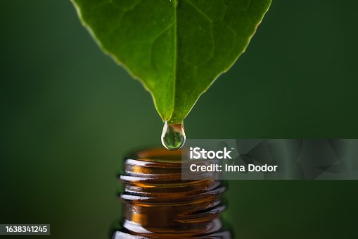 istock Alternative herbal  medicine concept. Herbal essence dropping. 1638341245