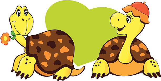 Two turtles vector art illustration