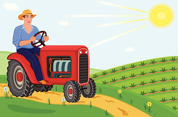 Farmer driving tractor on fields vector art illustration