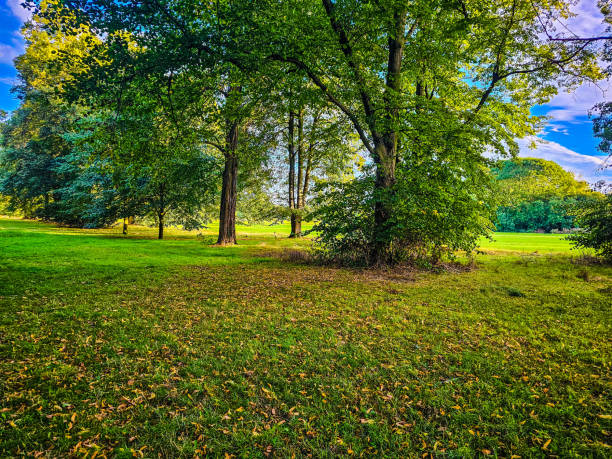 istock A grass field with trees and a blue sky with Green Park in the background 1638352454