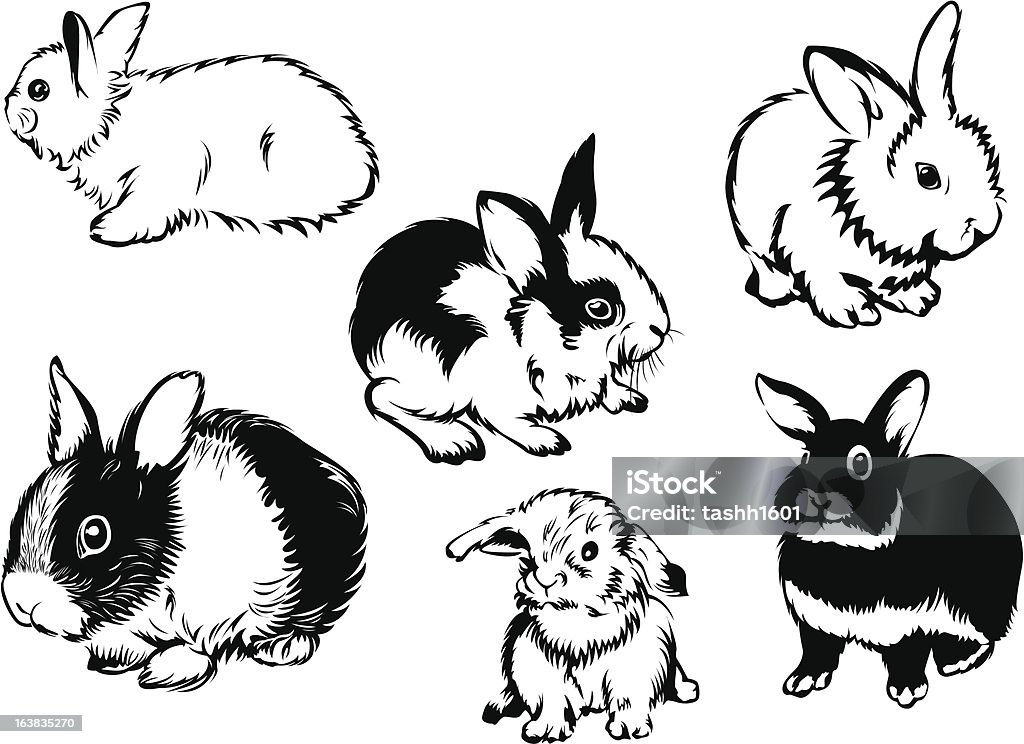 У кроликов - Векторная графика Векторная графика роялти-фри
