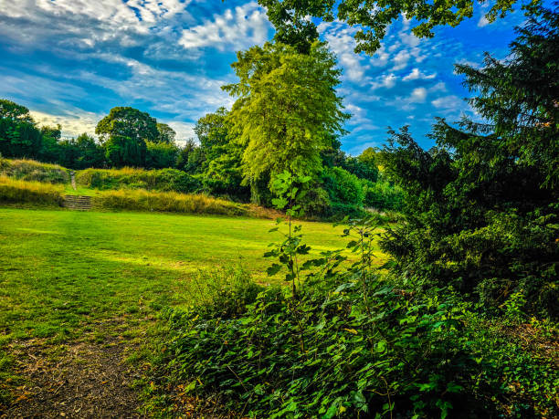 istock A grassy area with trees and blue sky with sunshine 1638355661