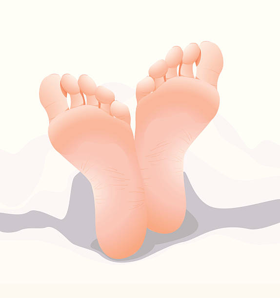 Feets "Feets. Vector image, ZIP archive including EPS Ill8 and AI formats. Gradient usage." woman feet bed stock illustrations