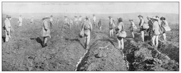 havaj, starožitná fotografie: výsadba cukrové třtiny - havaj fotky stock ilustrace