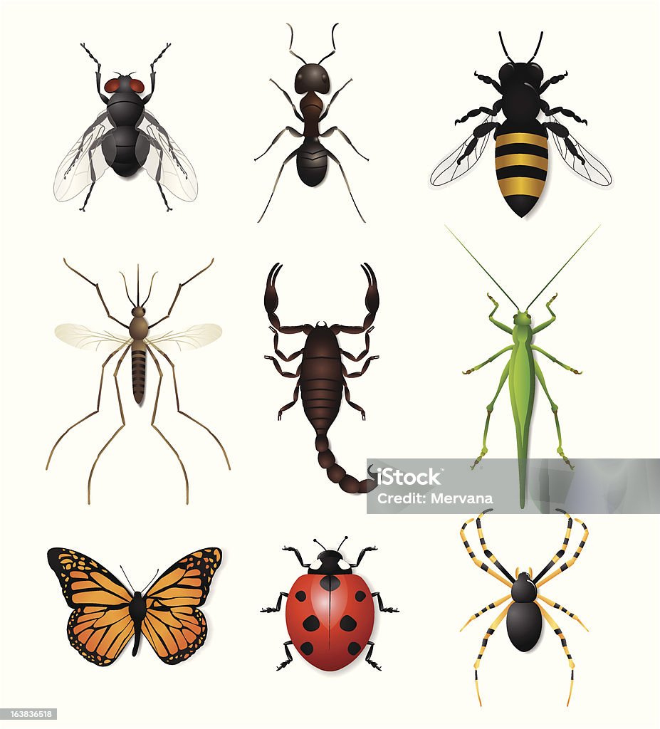 Ensemble d'icônes insectes - clipart vectoriel de Insecte libre de droits