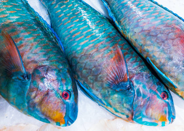 istock fresh Parrot fish in market 1638366875