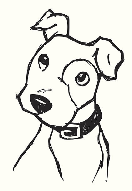 好奇心の強い子犬スケッチベクトルイラスト（） ベクターアートイラスト