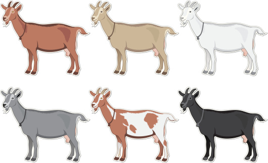 Goats Color Set