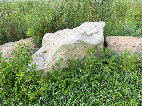 Big rocks in meadow