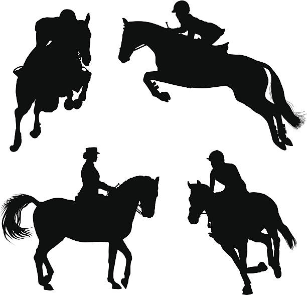 ilustraciones, imágenes clip art, dibujos animados e iconos de stock de competencia de caballo - caballo saltando