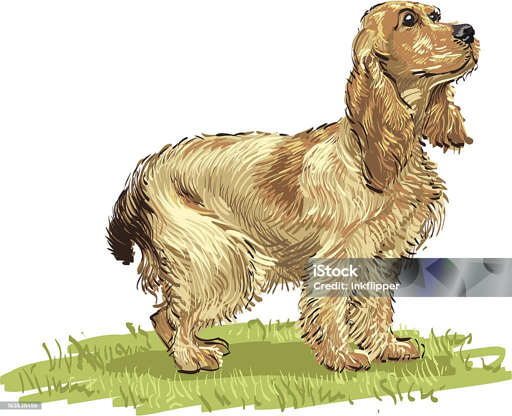 Cocker_spaniel - arte vettoriale royalty-free di Cocker Spaniel