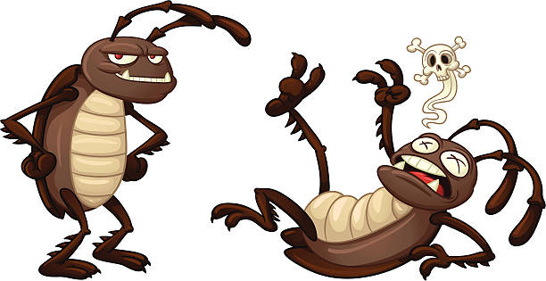 Cartoon cockroaches "Two cartoon cockroaches, one alive and one dead. Vector illustration with simple gradients. Both characters on separate layers for easy editing." insect stock illustrations