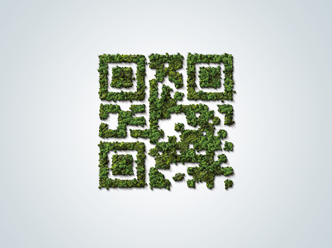 Green Trees shaped like QR code with the green forest. Technology ,Business and Nature Concept.