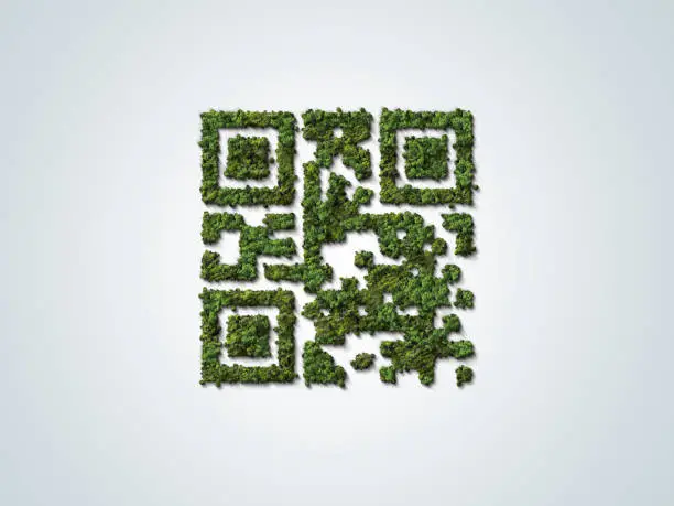 Photo of Green Trees shaped like QR code