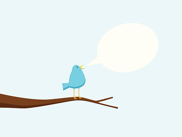 ilustrações de stock, clip art, desenhos animados e ícones de cantar pássaros na árvore - birdsong