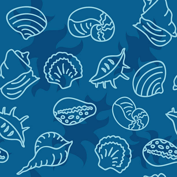 Seamless Conch Pattern Simple vector seamless pattern with shell. You can drop into your swatches and use as a tiling fill. cassis cornuta stock illustrations