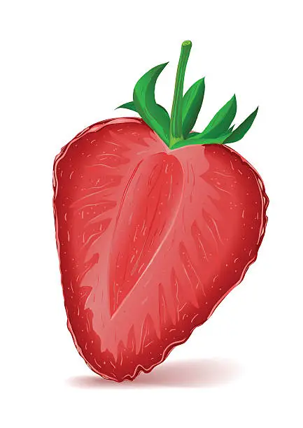 Vector illustration of Strawberry Segment