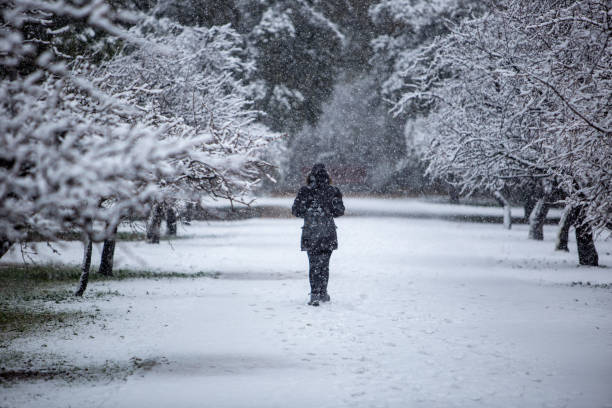istock A person walks through a park during a snowfall 1638402927