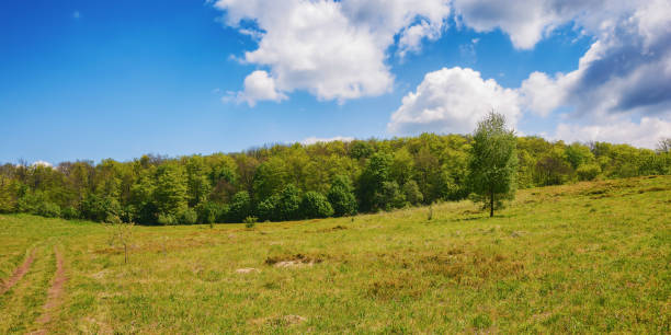 istock nature scenery with forested hills on a sunny day 1638410910