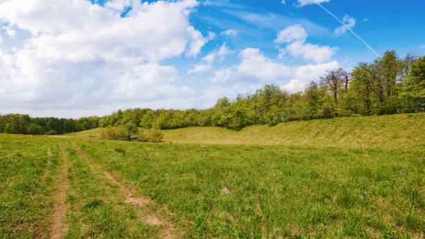 istock carpathian countryside with forested hills 1638410927