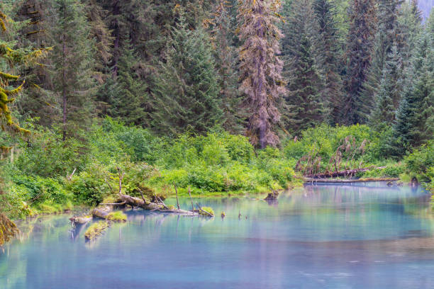 istock Lagoon in the Mist, Tongass national forest, Alaska 1638440332