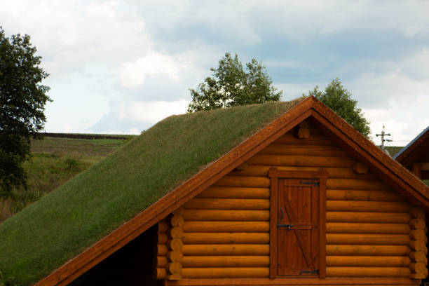 Modern dugout from a log house. Large earth roof for underground living. ancient dwelling