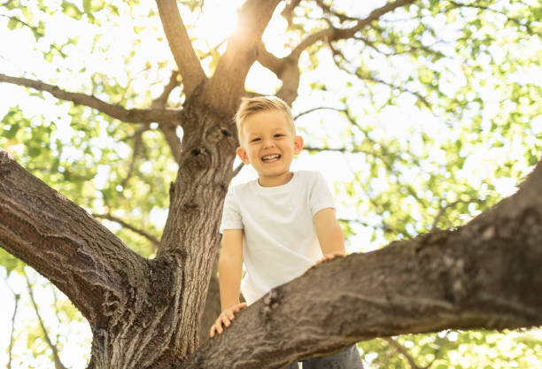 istock Happy little boy sitting on a tree. 1638507476