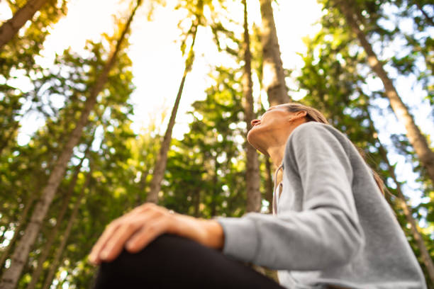 woman meditating in the forest. - ontgiften fotos stockfoto's en -beelden