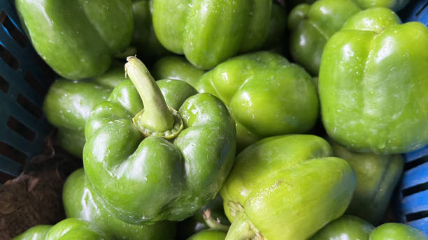 istock Bell pepper, capsicum, paprika, or sweet pepper 1638526156