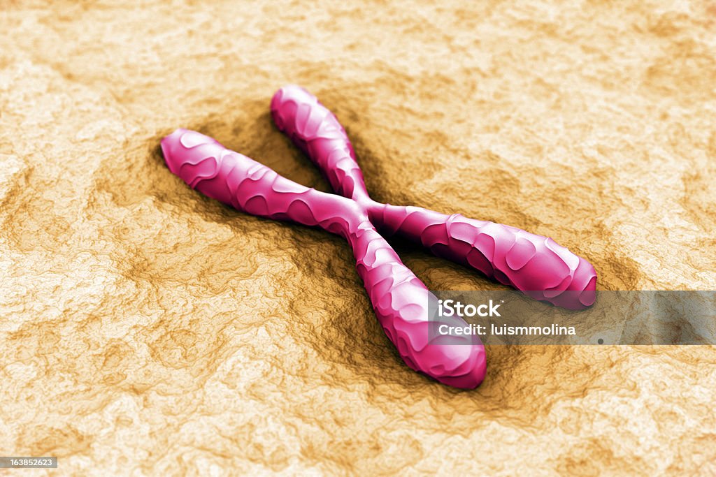 Chromosom - Lizenzfrei Abstrakt Stock-Foto