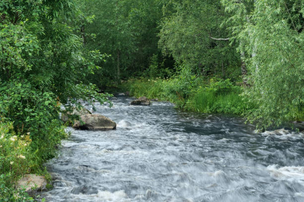 istock fast mountain river between wooded banks 1638534178