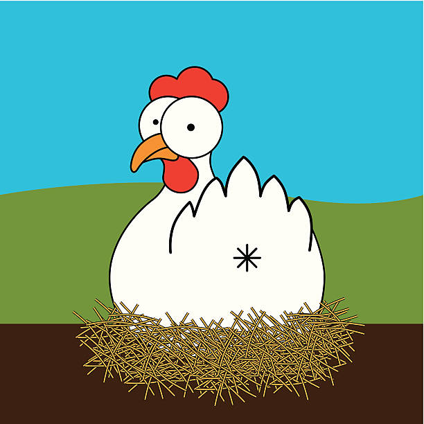 chicken vector art illustration