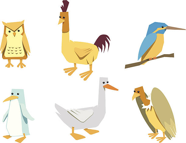 birds vector art illustration