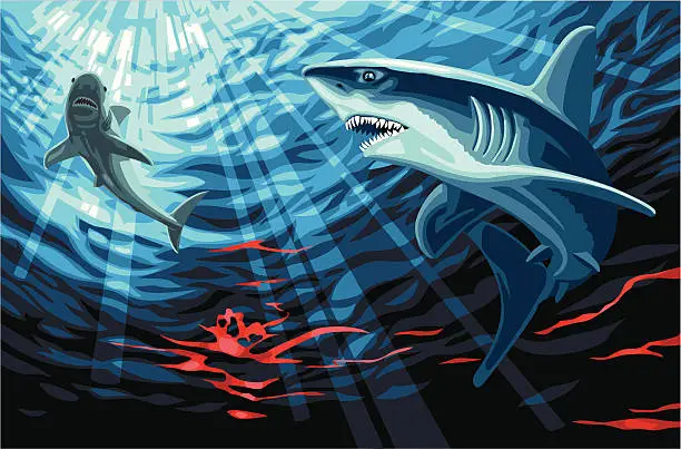 Vector illustration of White Sharks on a Blood Trail