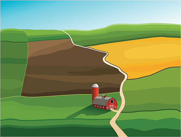 rural landscape vector art illustration
