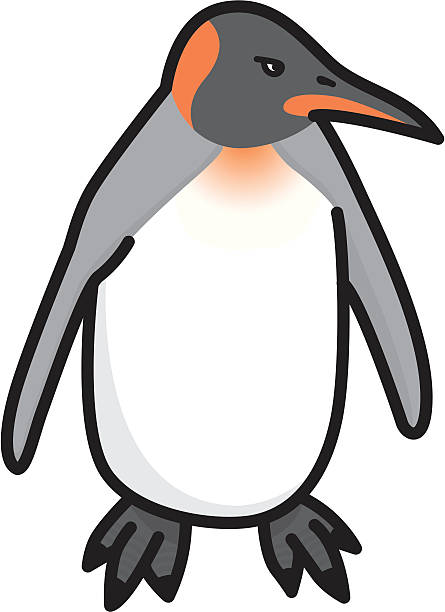 ilustrações de stock, clip art, desenhos animados e ícones de キングペンギン aptenodytes patagonicus - penguin animal white background king penguin