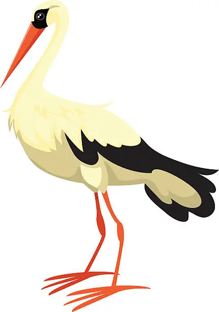 Vector illustration of Stork