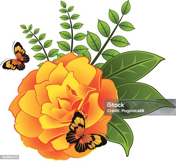 White Background With Beautiful Flower And Butterflies Vector Stock Illustration - Download Image Now