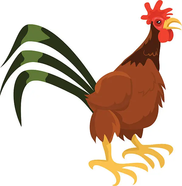 Vector illustration of Standing Rooster