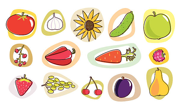 Legumes e frutas - ilustração de arte em vetor